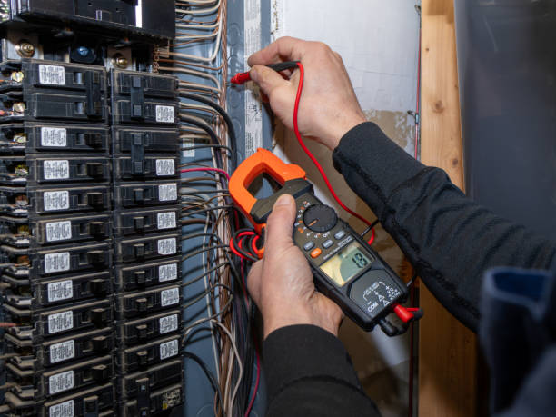 Best Electric Panel Repair  in Delafield, WI