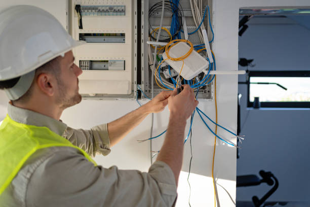 Best Electric Panel Repair  in Delafield, WI